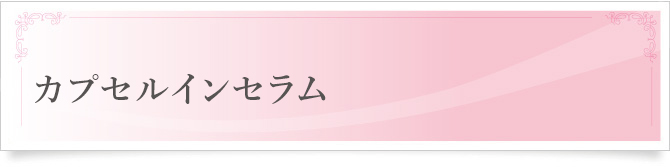 カプセルインセラム